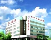 武汉东南医院